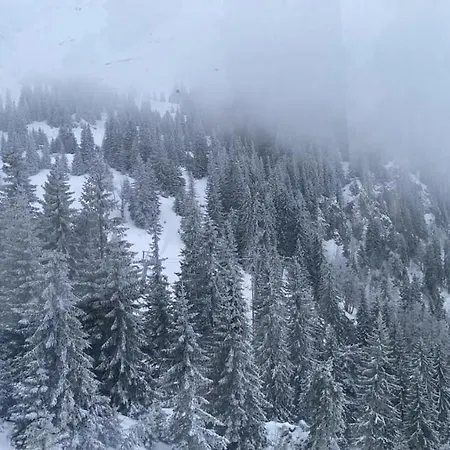 Nivalis *apartman 20* Apartman