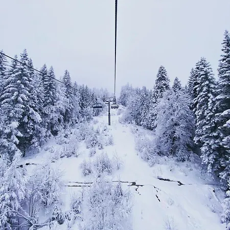 Apartman Nivalis *apartman 20*