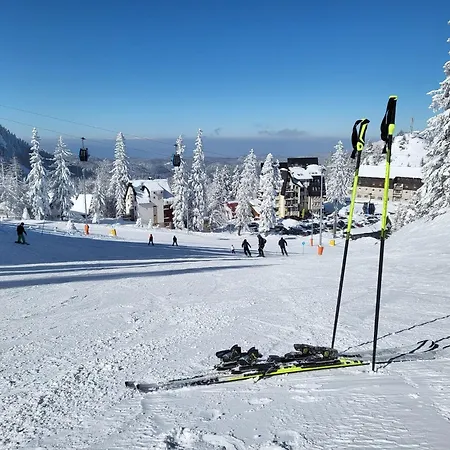 Nivalis *apartman 20* Apartman *